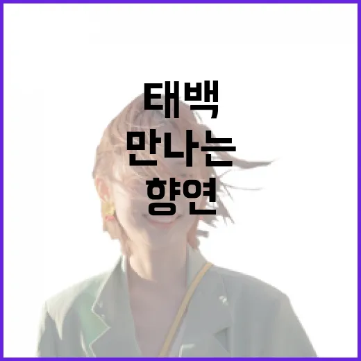 태백에서 만나는 강원 자연과 맛의 향연