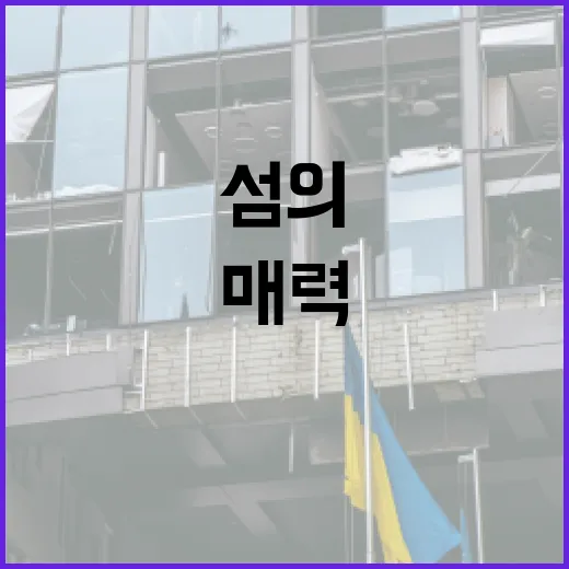 경남 섬의 매력, 완도서 빛나다