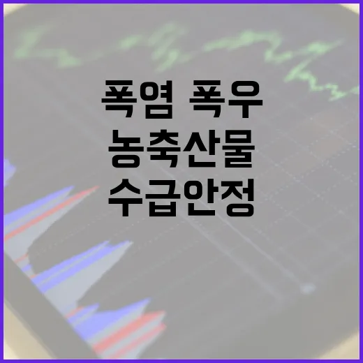 폭염·폭우 속 농축산물 수급 안정 대책