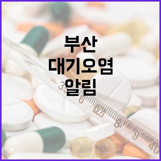 부산 대기오염 예보 알림 서비스 확대 시행