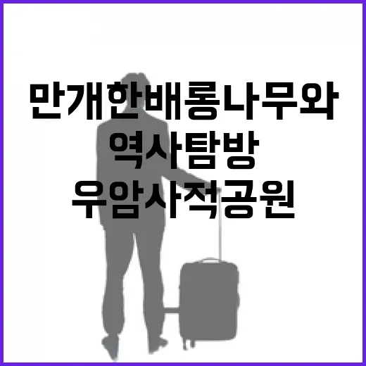 만개한 배롱나무와 우암사적공원 역사탐방