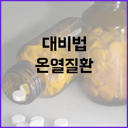 무더위 속 온열질환 완벽 대비법