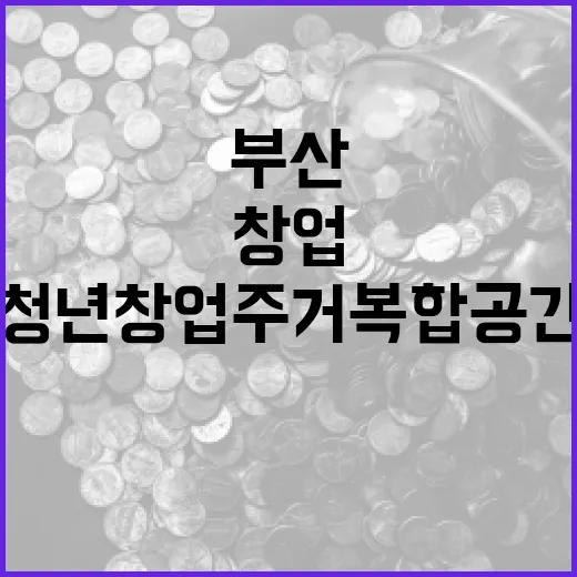부산 청년 창업 주거복합공간 확산