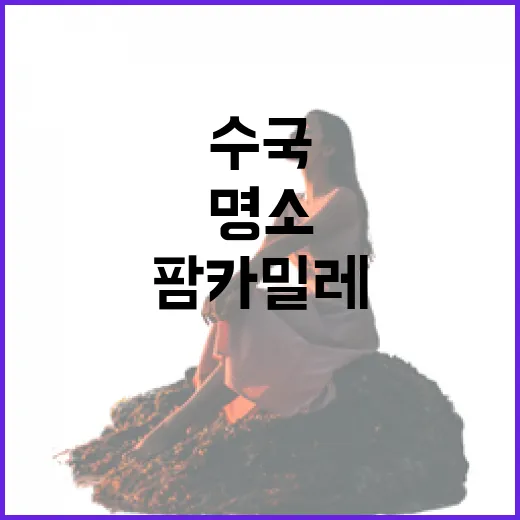 태안 팜카밀레, 허브와 수국의 여름 힐링 명소