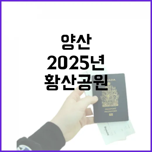 양산 황산공원 물놀이장 2025년 개장