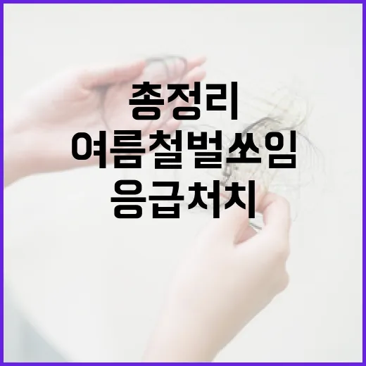 여름철 벌쏘임 사고, 예방과 응급처치법 총정리