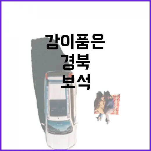 경북 영주 무섬마을, 강이 품은 고요한 보석