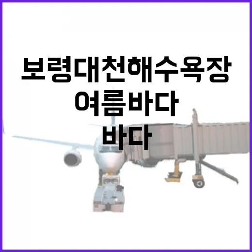 보령 대천해수욕장, 여름 바다와 액티비티의 진수