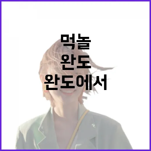 완도에서 즐기는 여름 먹놀축제