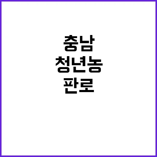 충남 청년농, 판로…