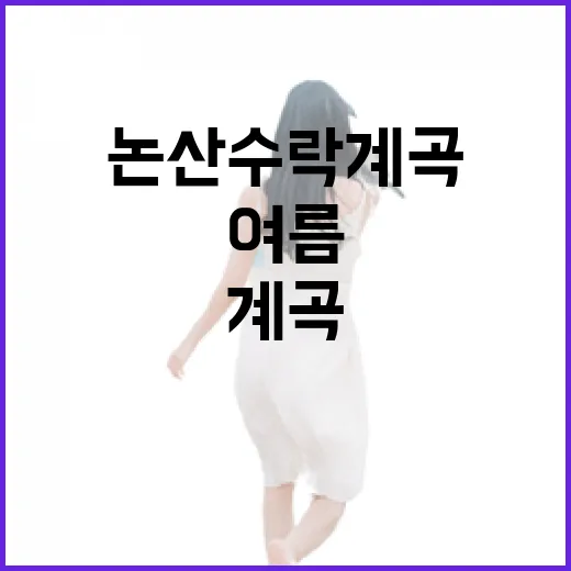 논산 수락계곡, 청정 여름 물놀이 명소