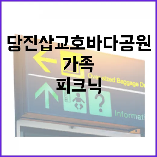 당진 삽교호 바다공원 가족 피크닉 명소