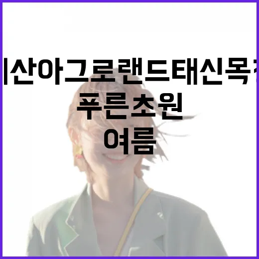 예산 아그로랜드 태…