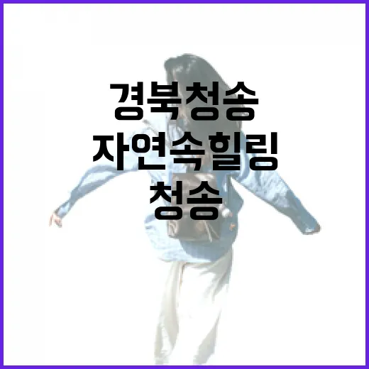 경북 청송 자연 속 힐링 명소 4선