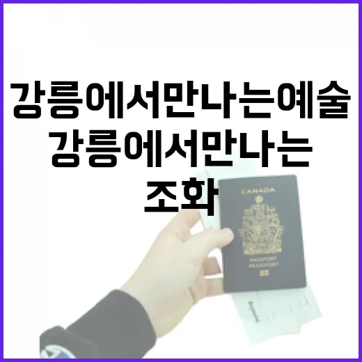 강릉에서 만나는 예술과 바다의 조화