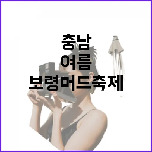 보령 머드축제, 여…