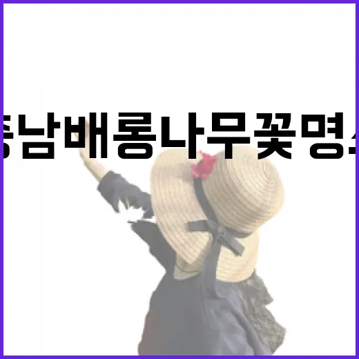 충남 배롱나무꽃 명소 3선