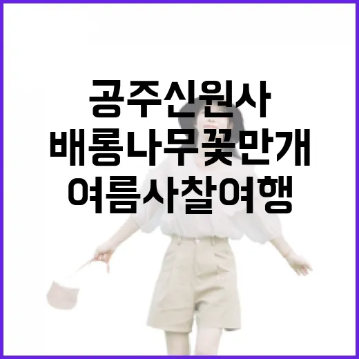 공주 신원사 배롱나무꽃 만개한 여름 사찰 여행