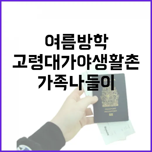 고령 대가야생활촌, 여름방학 가족 나들이 명소