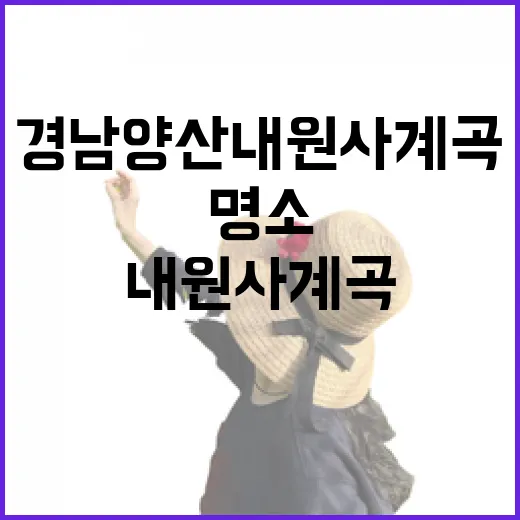 경남 양산 내원사 계곡, 여름 힐링 명소