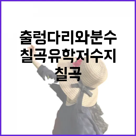칠곡 유학저수지 출렁다리와 분수의 매력
