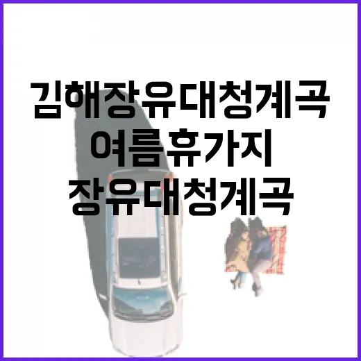 김해 장유대청계곡,…