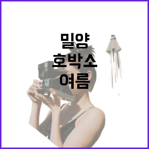 밀양 호박소, 여름 무더위 식히는 천혜의 피서지