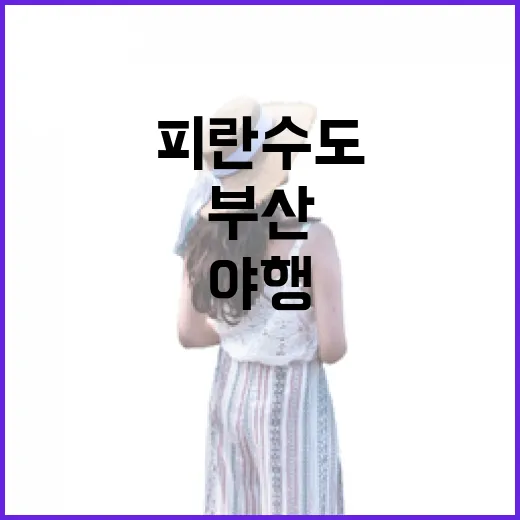 부산 피란수도 야행과 중구 맛집 탐방