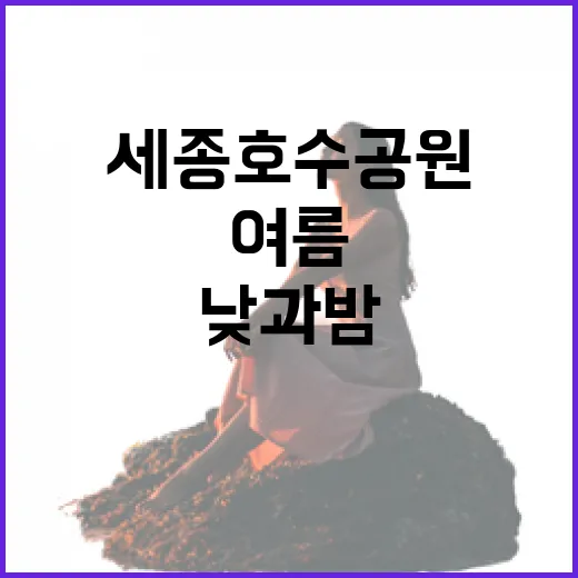 세종호수공원, 낮과 밤이 빚는 여름의 매력