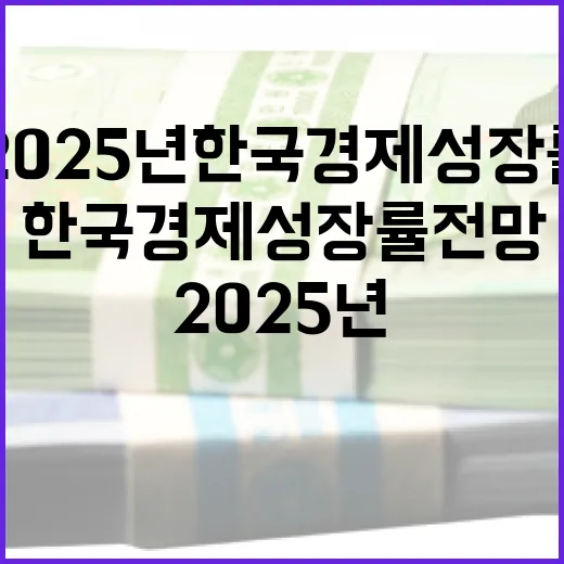 KDI, 2025년 한국 경제성장률 전망과 도전 과제