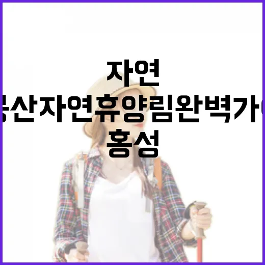 홍성 용봉산 자연휴양림 완벽 가이드