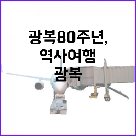 광복 80주년, 부산 역사 여행 5선