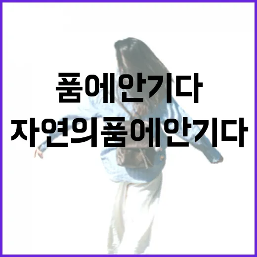 회야호 연꽃 습지, 자연의 품에 안기다