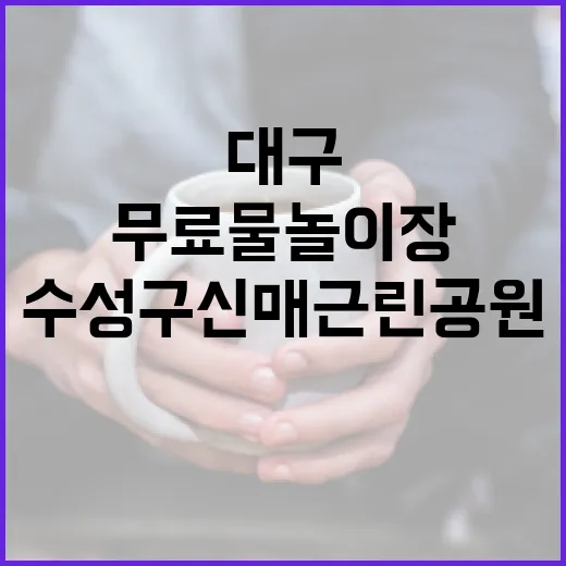 대구 수성구 신매근린공원 무료 물놀이장 개장