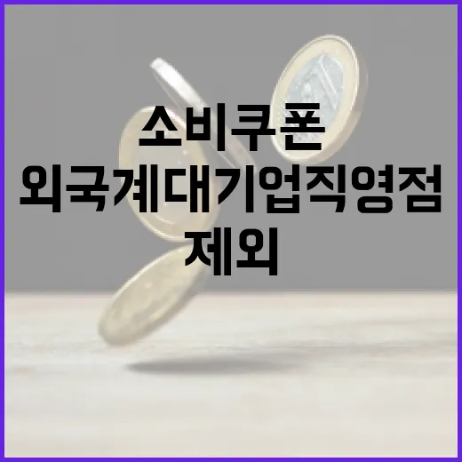 행안부, 소비쿠폰 외국계 대기업 직영점 제외 결정