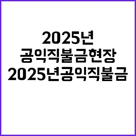 2025년 공익직불…