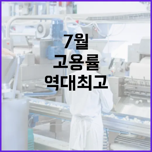 7월 취업자 17만명 증가, 고용률 역대 최고