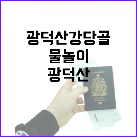 광덕산 강당골서 즐기는 여름 산행과 물놀이