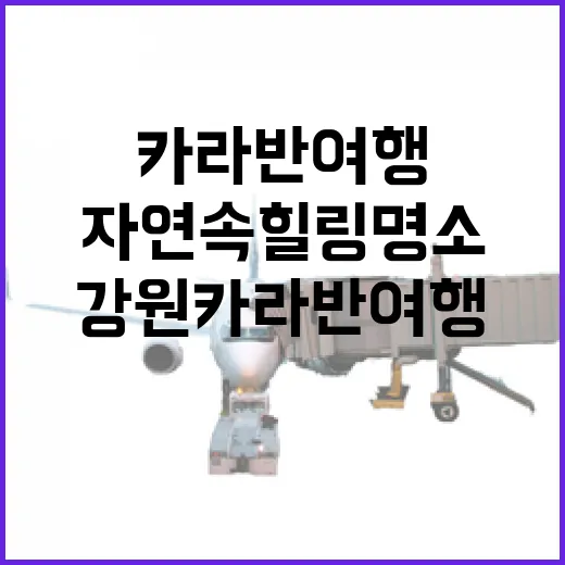 강원 카라반 여행, 자연 속 힐링 명소
