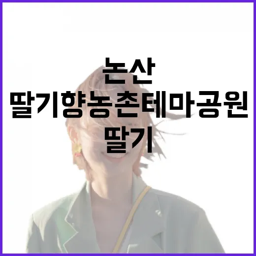 논산 딸기향 농촌테마공원 여름 힐링