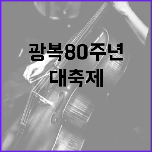 빛으로 새기는 광복 80주년 대축제