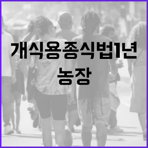 개식용종식법 1년, 70% 농장 폐업 가속
