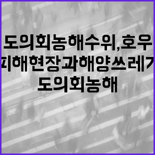도의회 농해수위, 호우 피해 현장과 해양쓰레기 점검