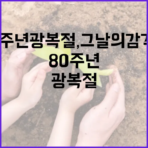 80주년 광복절, 그날의 감격을 되새기다