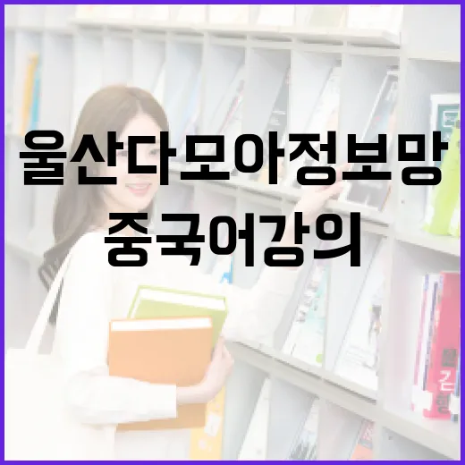 울산 다모아 정보망 중국어 강의 체험기