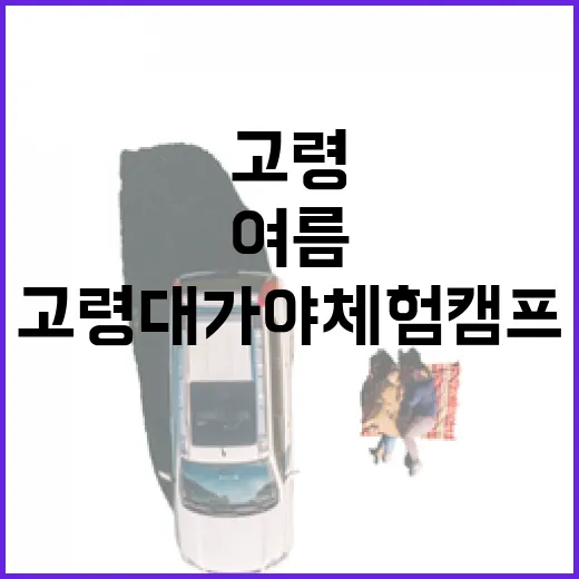 고령 대가야체험캠프 여름 물놀이 명소