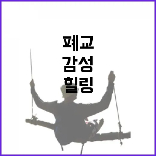 폐교 감성 가득한 보은 일상화카페 힐링 명소