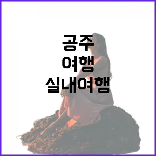 공주목전시관, 여름 실내 여행 명소로 임시개관