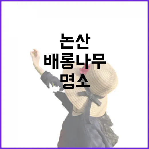 논산 종학당, 배롱나무와 연꽃이 어우러진 여름 명소