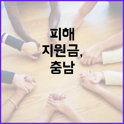 충남 특별지원금, 신속한 피해복구 지원